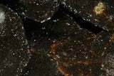 Septarian Dragon Egg Geode - Black Crystals #172817-1